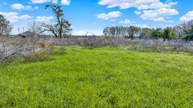 16522 Romberg Rd, Holland TX, 76534 land for sale