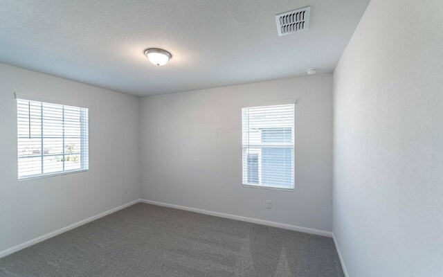 carpeted empty room with plenty of natural light