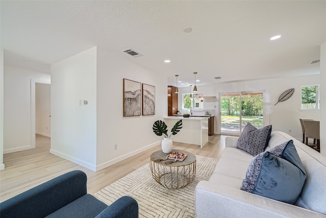 living room with light wood-type flooring