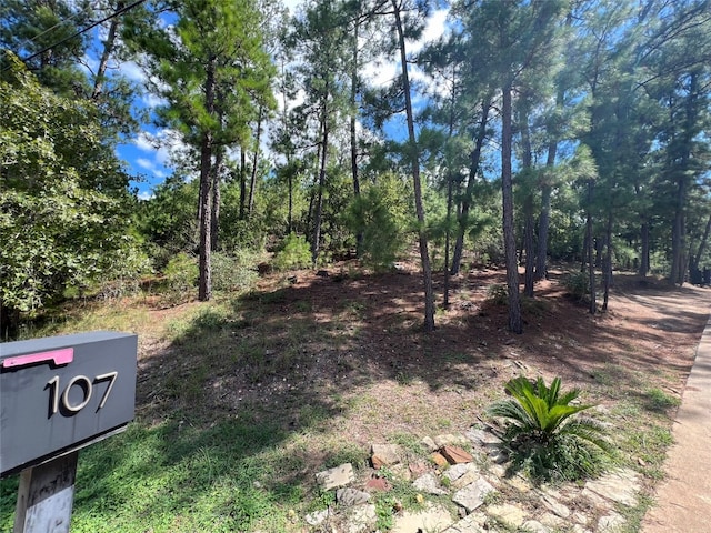 Listing photo 3 for 000 Mamalu Dr, Bastrop TX 78602