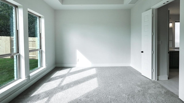 carpeted spare room with a wealth of natural light