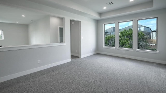 carpeted spare room featuring a raised ceiling