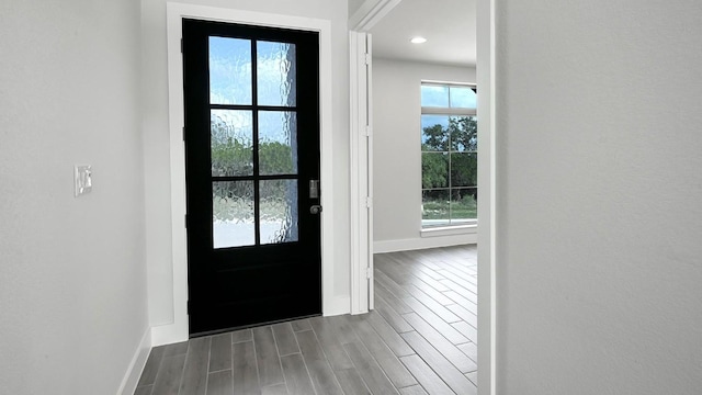 foyer entrance featuring a healthy amount of sunlight