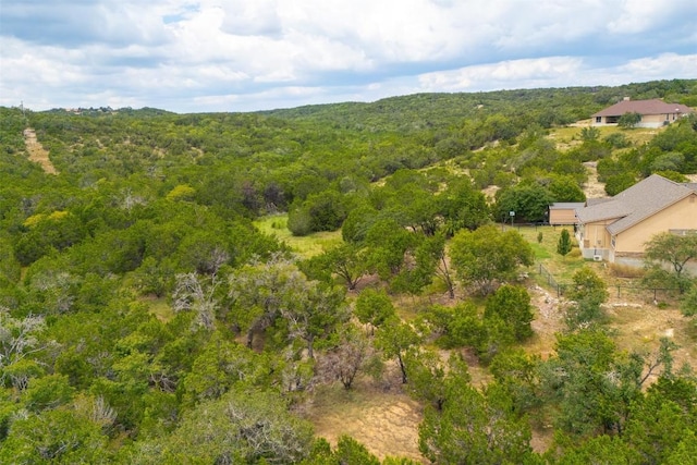 1251 Mystic Breeze, Spring Branch, TX 78070 - photo 29