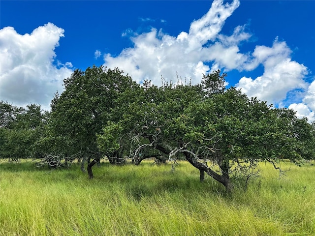 3942 Mount Sharp Rd, Wimberley TX, 78676 land for sale