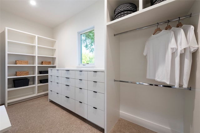 spacious closet with light colored carpet