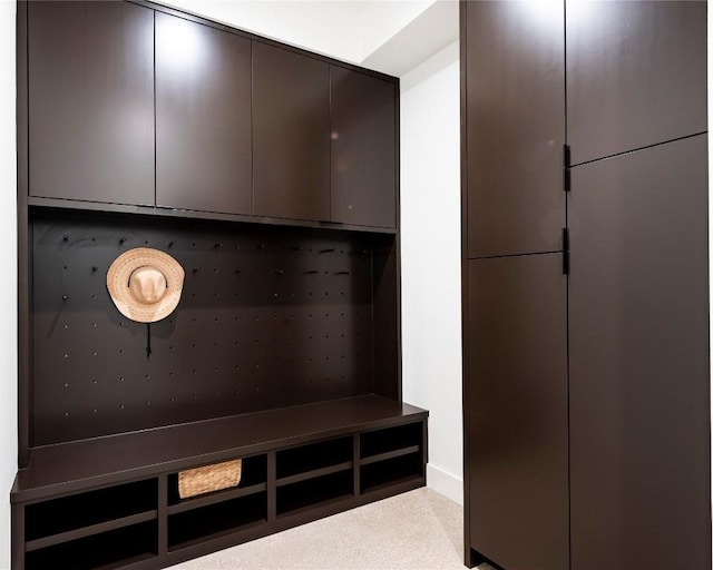 mudroom featuring carpet flooring