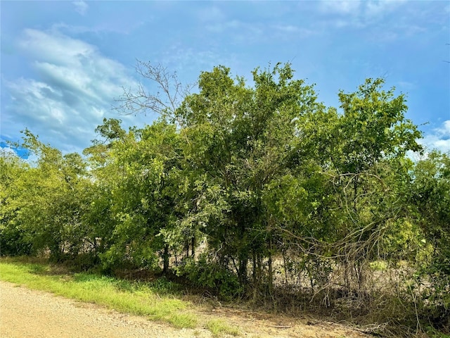 Listing photo 2 for TBDTRACT12 Tenney Creek Rd, Luling TX 78648