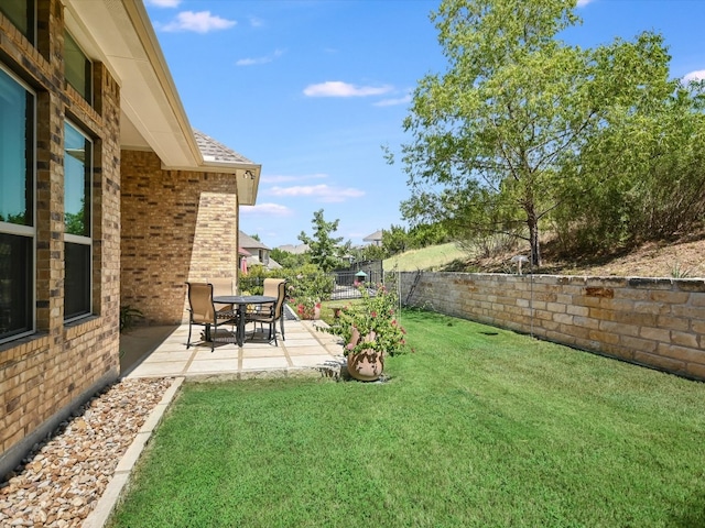 view of yard featuring a patio area