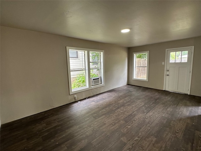 entryway featuring dark hardwood / wood-style flooring