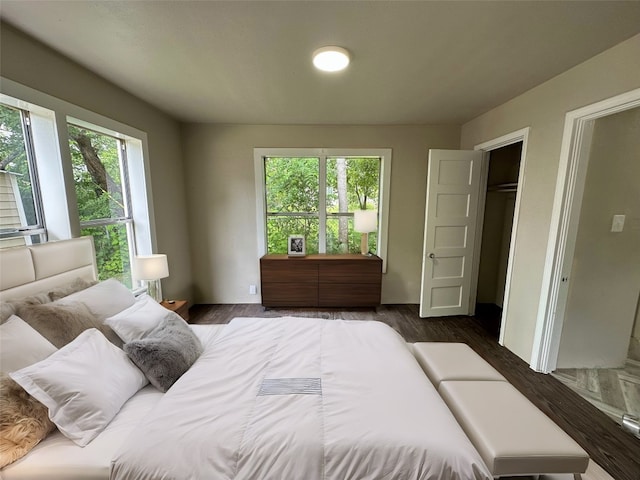 bedroom with a closet and dark hardwood / wood-style flooring