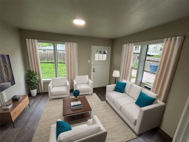 living room with dark wood-type flooring