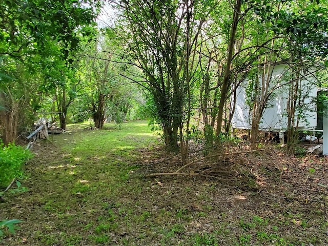 5512 Joe Sayers Ave, Austin, TX 78756 - view of yard