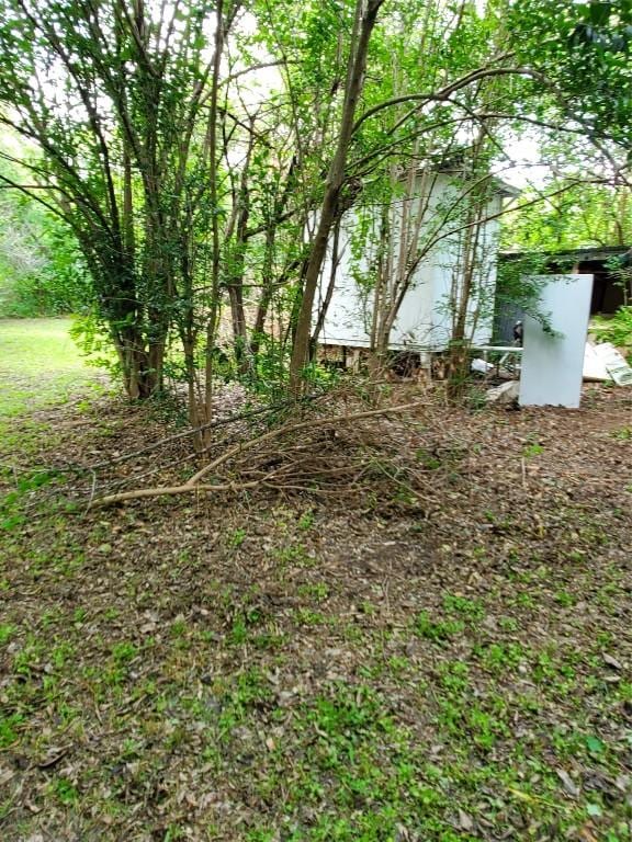 5512 Joe Sayers Ave, Austin, TX 78756 - view of yard