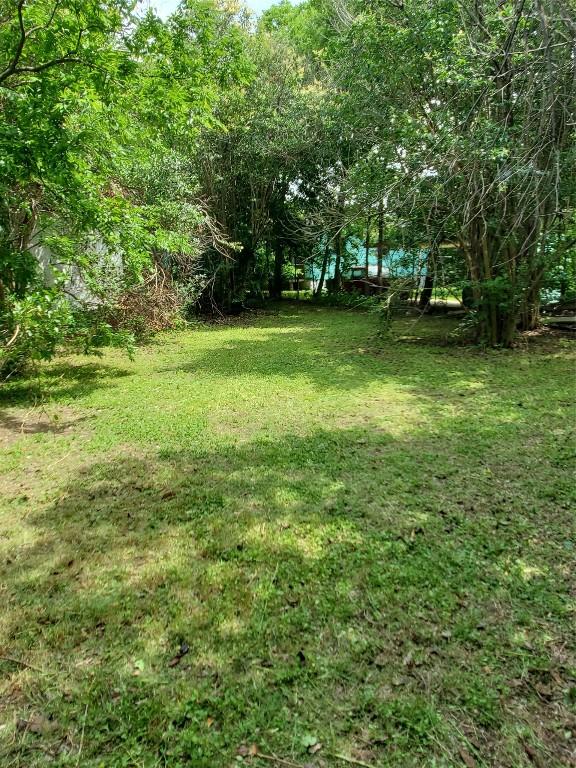 5512 Joe Sayers Ave, Austin, TX 78756 - view of grassy yard