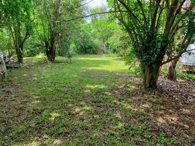 5512 Joe Sayers Ave, Austin, TX 78756 - view of green lawn