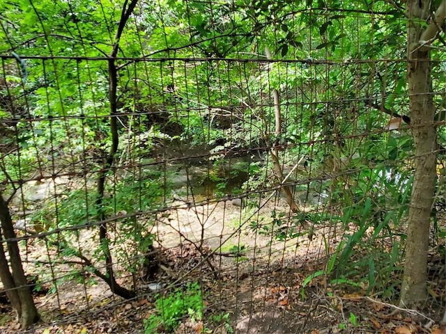 5512 Joe Sayers Ave, Austin, TX 78756 - view of local wilderness