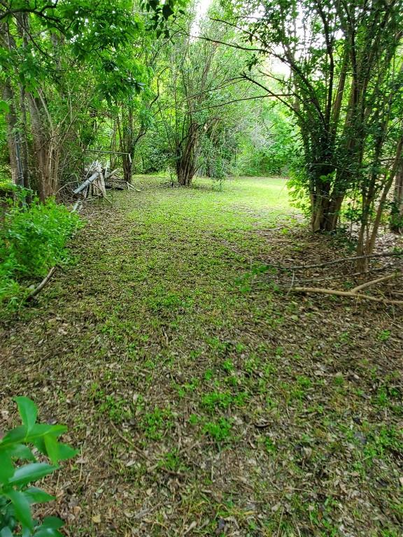 5512 Joe Sayers Ave, Austin, TX 78756 - view of yard with a forest view