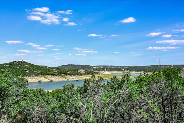 8504 Lime Creek Rd, Volente TX, 78641 land for sale