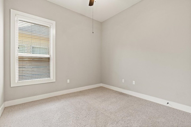 7109 Cut Plains Trl, Austin, TX 78726 - photo 13