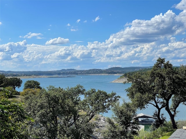 water view featuring a mountain view