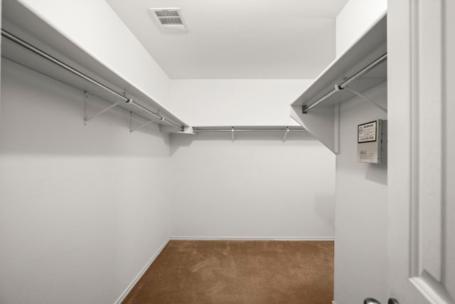 walk in closet with carpet flooring