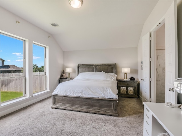 carpeted bedroom with lofted ceiling, multiple windows, and ensuite bath