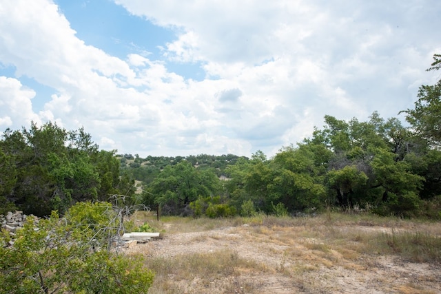 21114 Bertram Ln, Spicewood, TX 78669