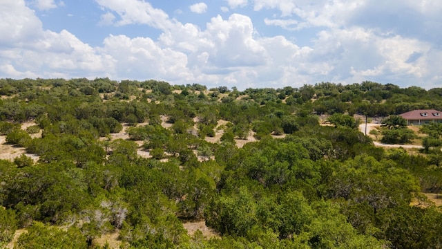 21114 Bertram Ln, Spicewood, TX 78669