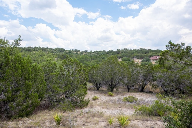 21114 Bertram Ln, Spicewood, TX 78669 - photo 33