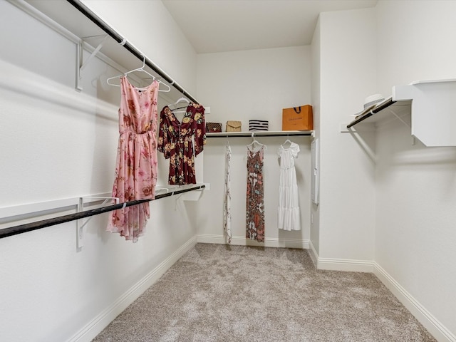 spacious closet featuring light colored carpet