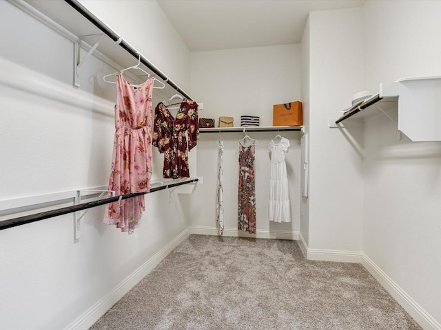 walk in closet featuring carpet flooring