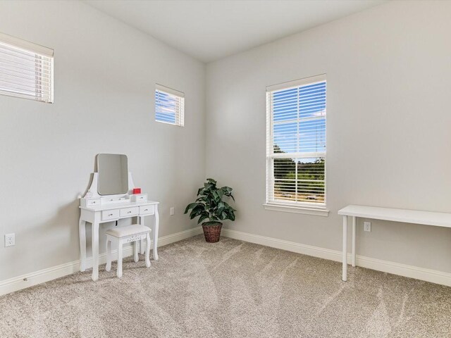 interior space with carpet and baseboards