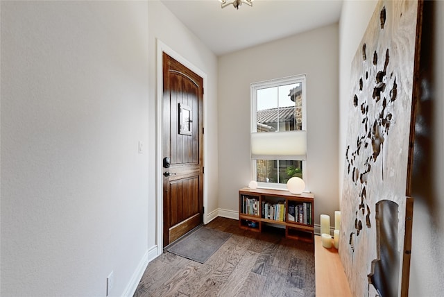 foyer with a healthy amount of sunlight and hardwood / wood-style flooring