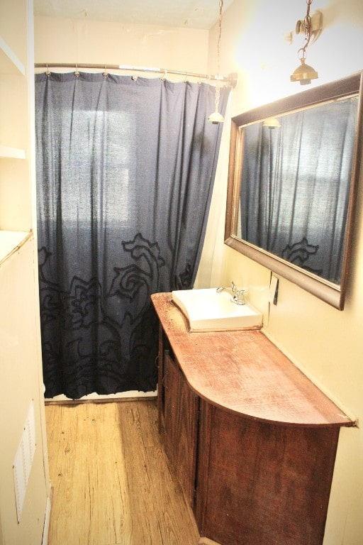 bathroom featuring wood-type flooring and sink