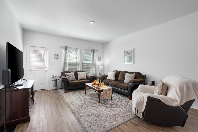 living room with wood-type flooring