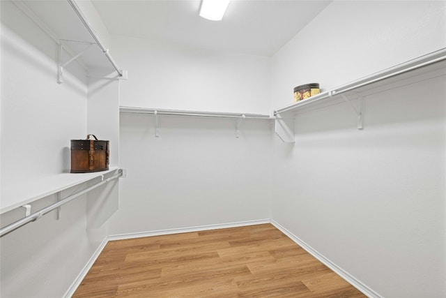 spacious closet featuring wood-type flooring