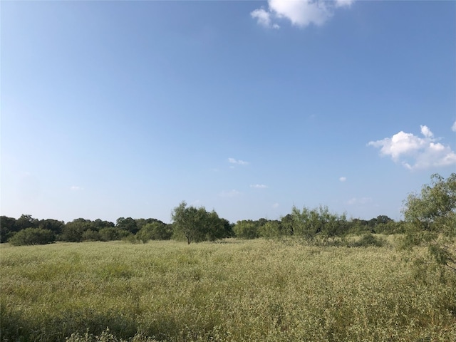 Listing photo 3 for LOT4-B Wild Plum Rd, Lockhart TX 78644