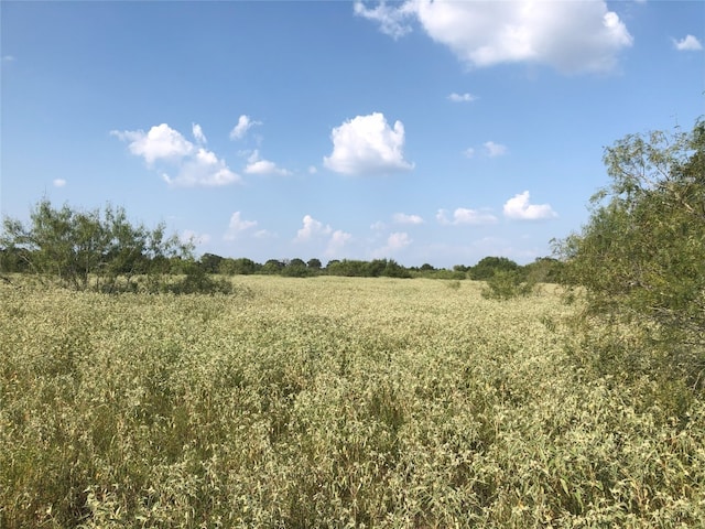 LOT4-B Wild Plum Rd, Lockhart TX, 78644 land for sale