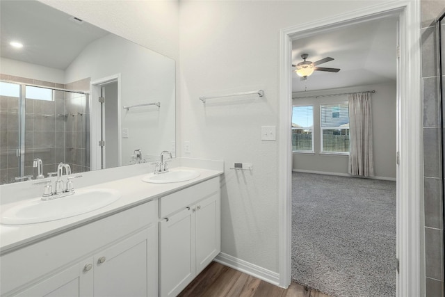 bathroom with a shower stall, a healthy amount of sunlight, and a sink