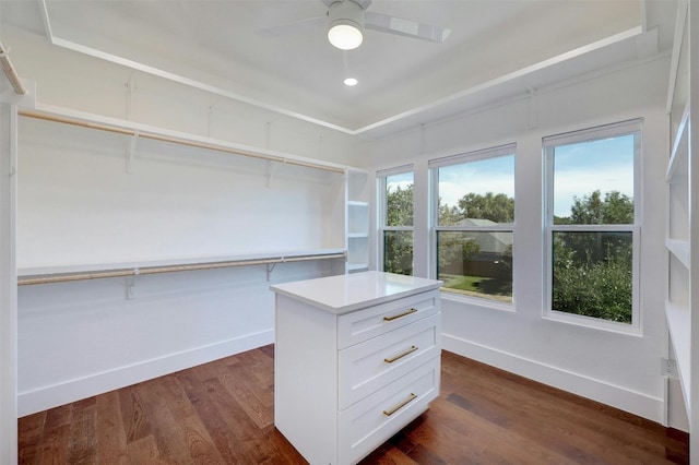 walk in closet with dark wood-type flooring and ceiling fan