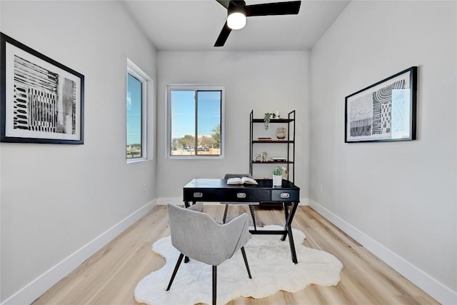 office space with ceiling fan and light hardwood / wood-style flooring