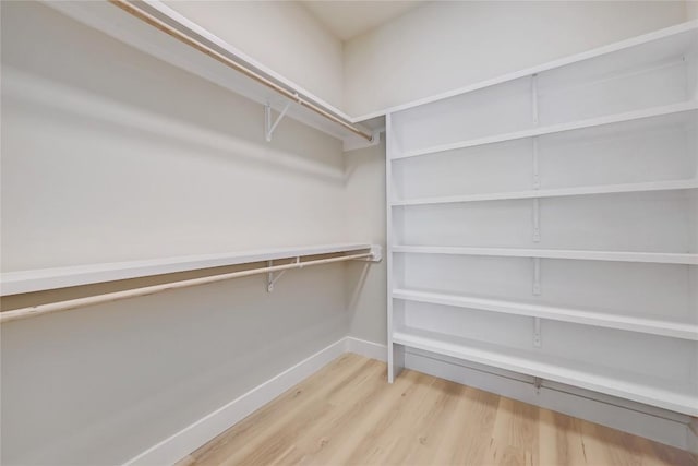 walk in closet with wood-type flooring