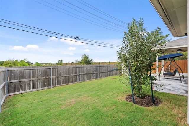 view of yard featuring a patio