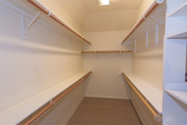 spacious closet with dark colored carpet