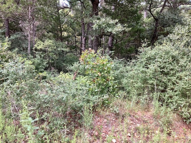 Listing photo 3 for LOT259 Kaanapali Dr, Bastrop TX 78602