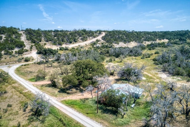 51 Ds Rd, Fredericksburg, TX 78624 - photo 9