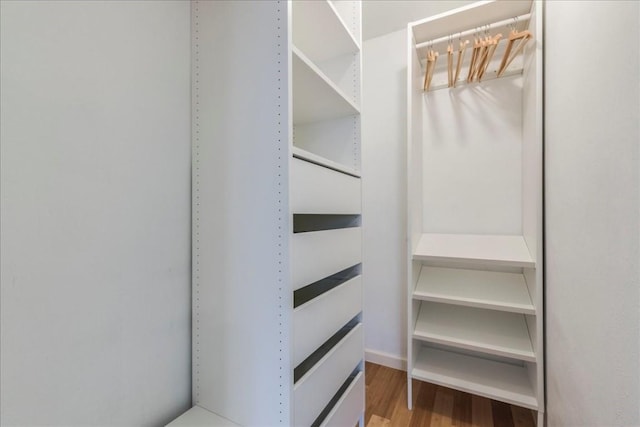 spacious closet featuring wood finished floors