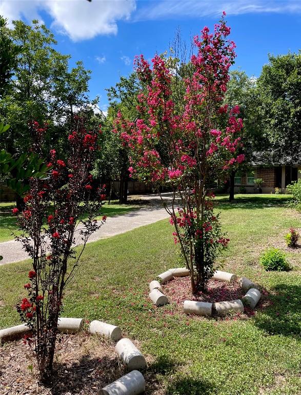 2305 Davis Ln, Austin, TX 78745 - photo 9