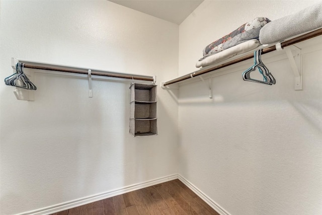 spacious closet with dark wood-style floors